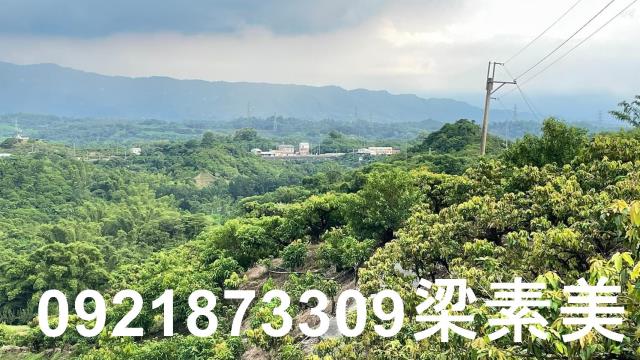 玉井農地-4