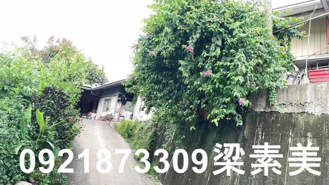 玉井農地-5