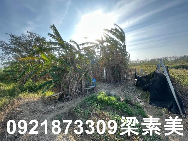 台南農地-12