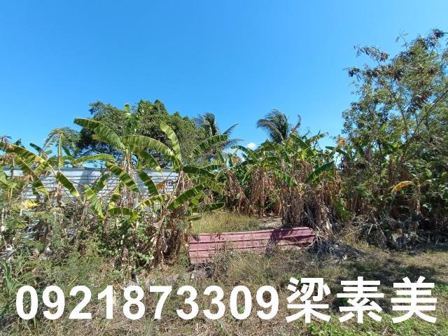 台南農地-4