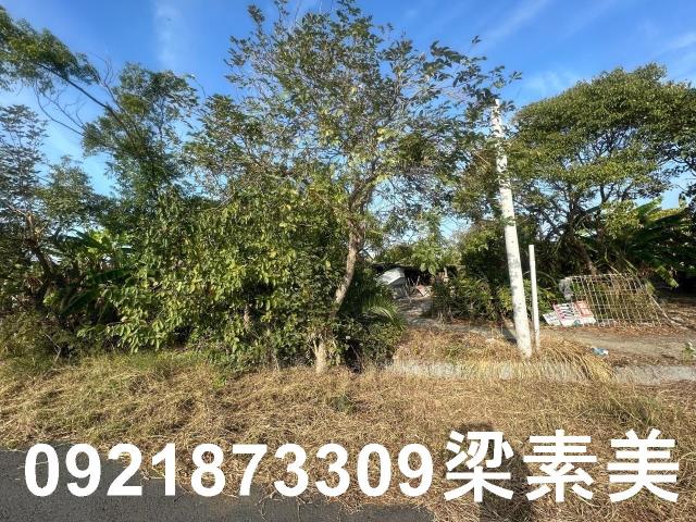 台南農地-9