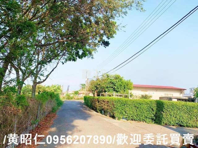 台南麻豆農地-1