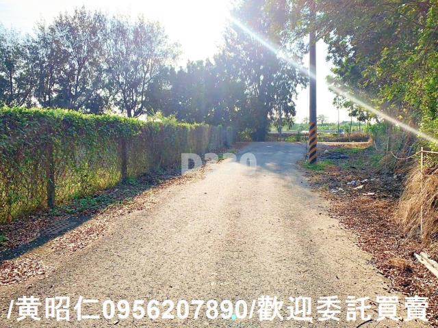 台南麻豆農地-3