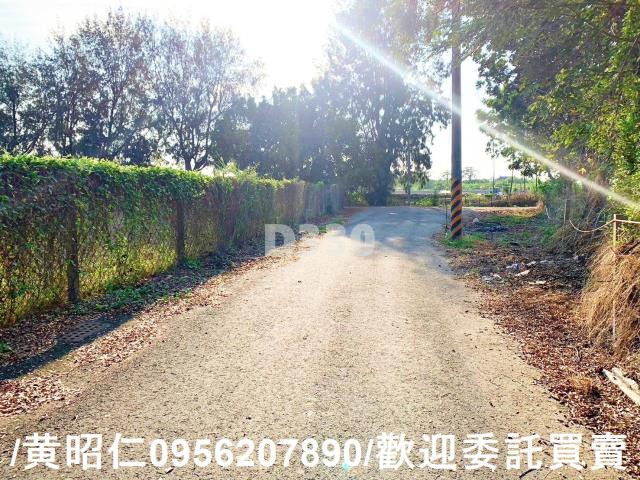 台南麻豆農地-5