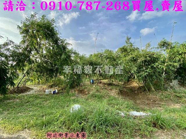 關廟農地-11