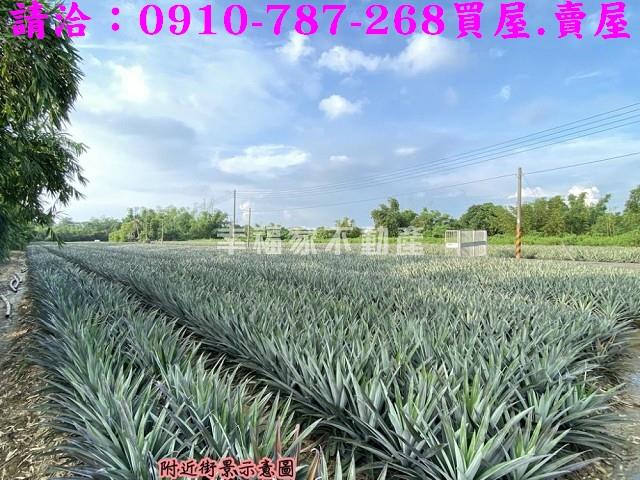 關廟農地-3