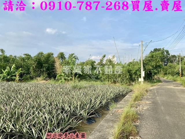 關廟農地-4