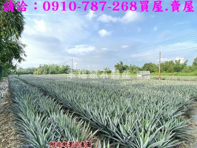 關廟農地-5