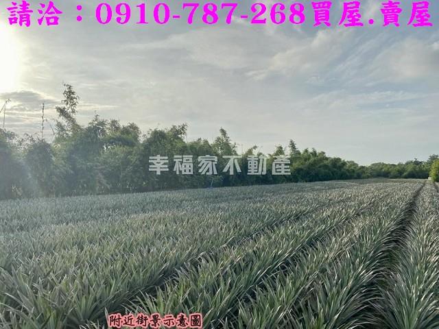 關廟農地-6