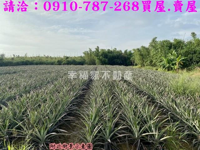 關廟農地-7
