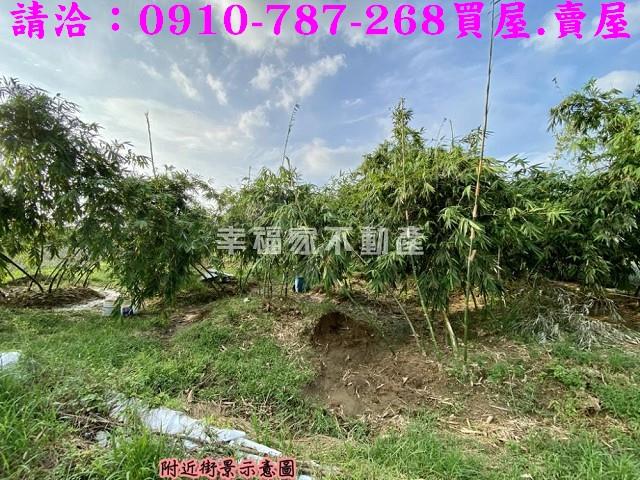 關廟農地-9