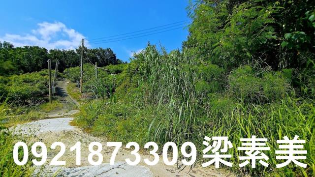 玉井農地-4