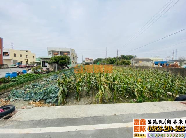 水林建地-6