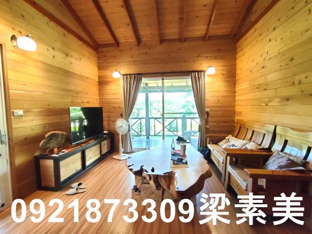 台南農地-3