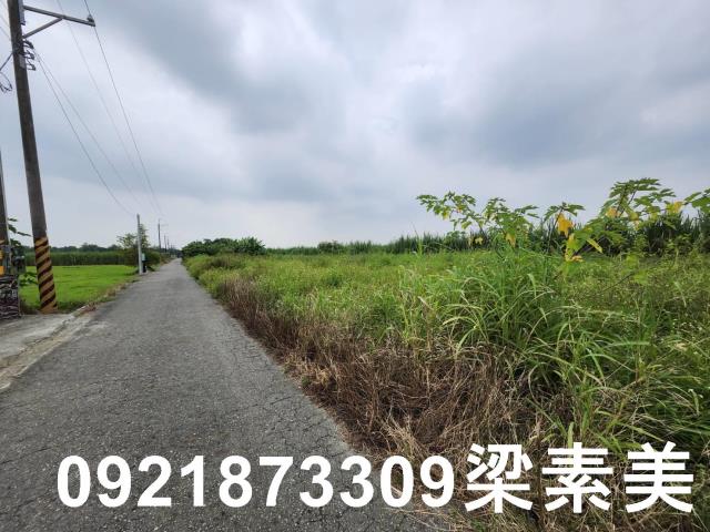 台南新化農地-3