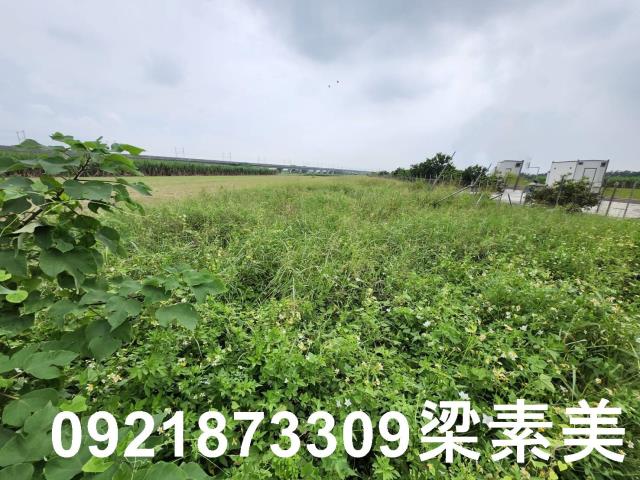 台南新化農地-6