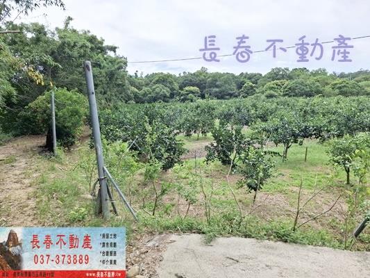 苗栗苗栗市農地-2