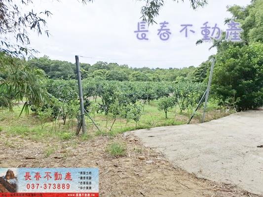 苗栗苗栗市農地-3