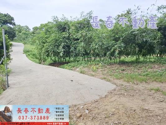 苗栗苗栗市農地-6