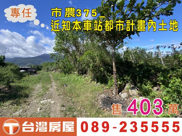 台東台東市農地-1