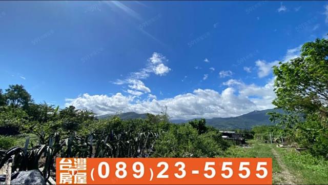 台東台東市農地-4