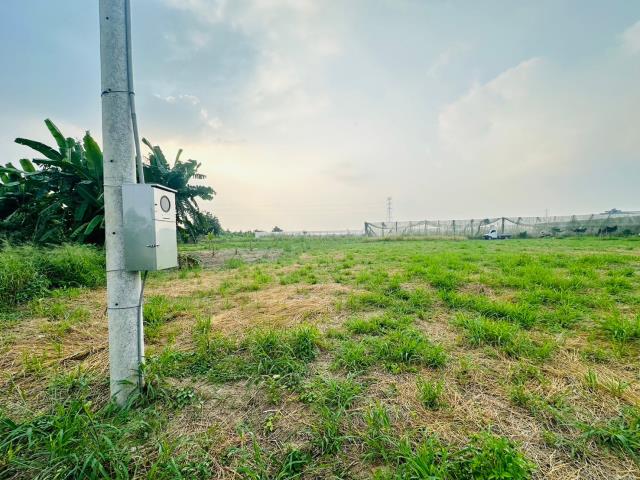 嘉義中埔農地-4