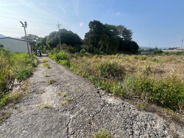 埔里農地-1