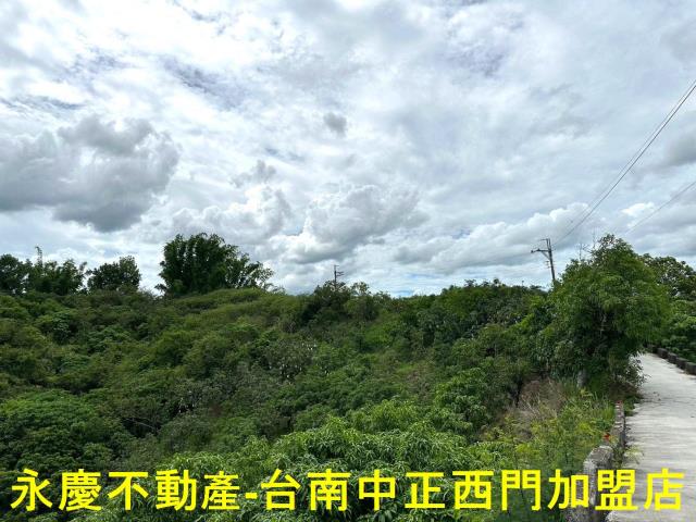 玉井農地-13