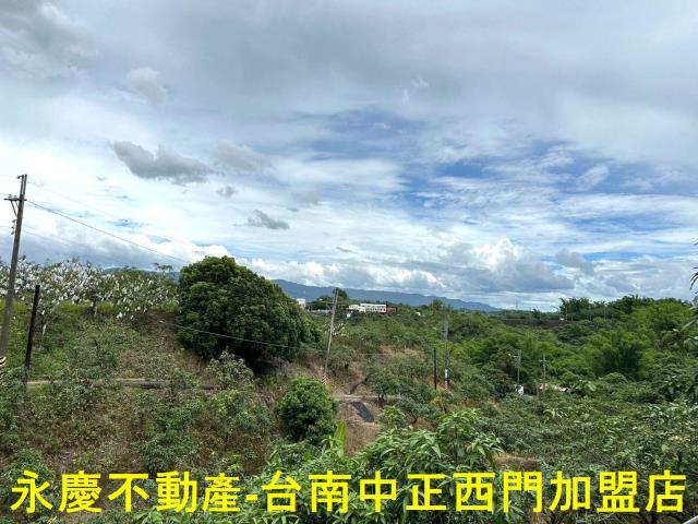 玉井農地-1