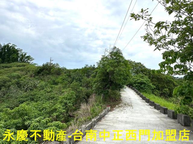 玉井農地-4
