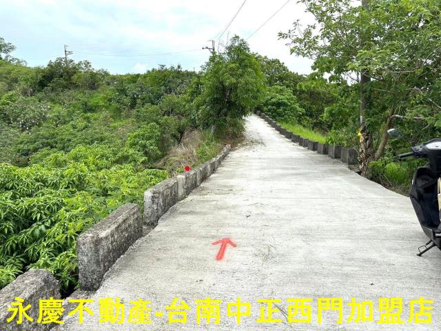 玉井農地-7