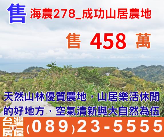 台東成功農地-1