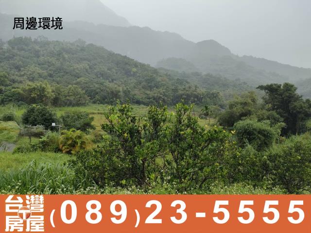 台東成功農地-3