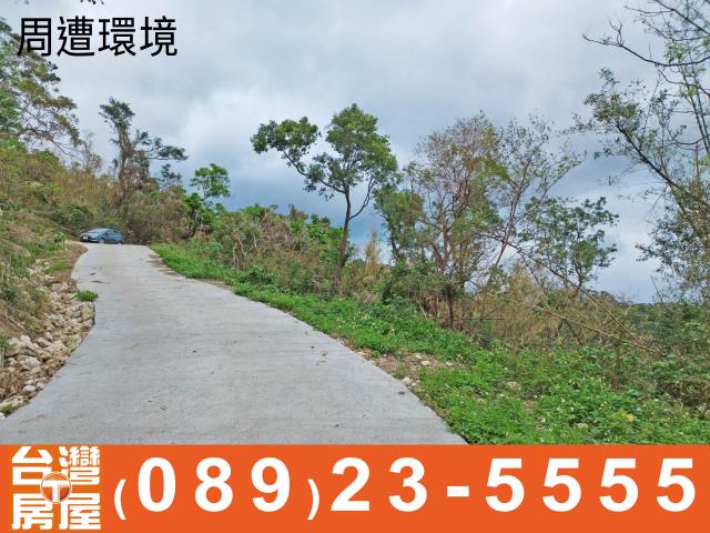 台東成功農地-7