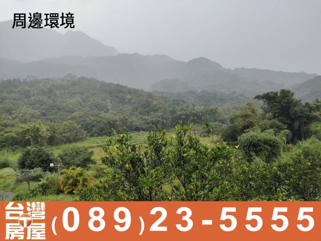台東成功農地-5