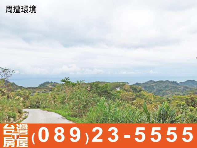 台東成功農地-10