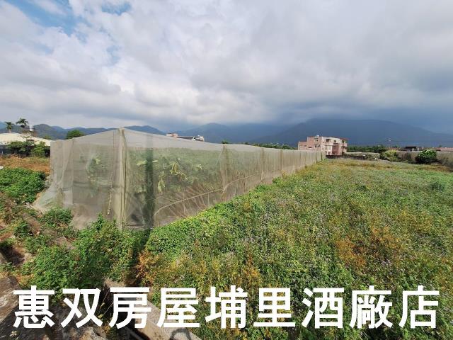 南投埔里農地-2