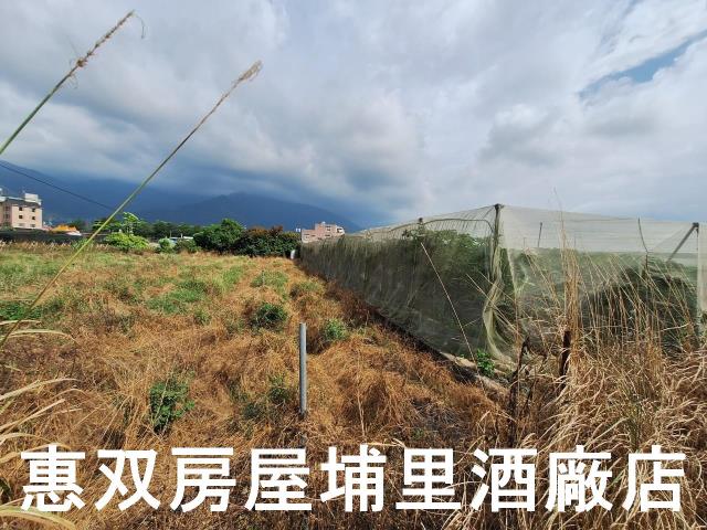 南投埔里農地-3