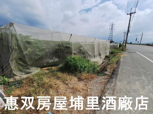 南投埔里農地-4