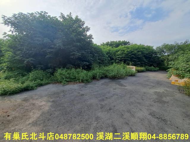 田尾農地-2