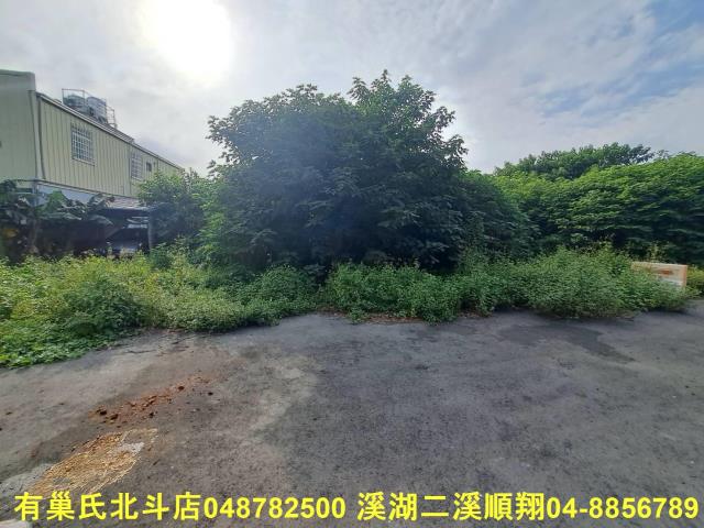 田尾農地-3