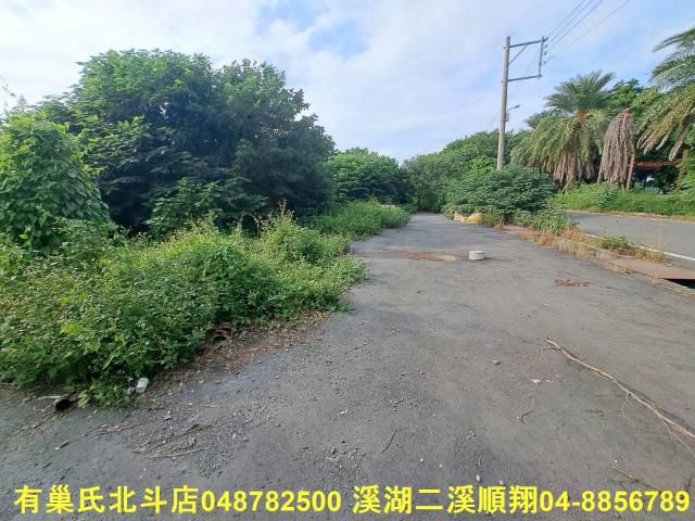 田尾農地-6