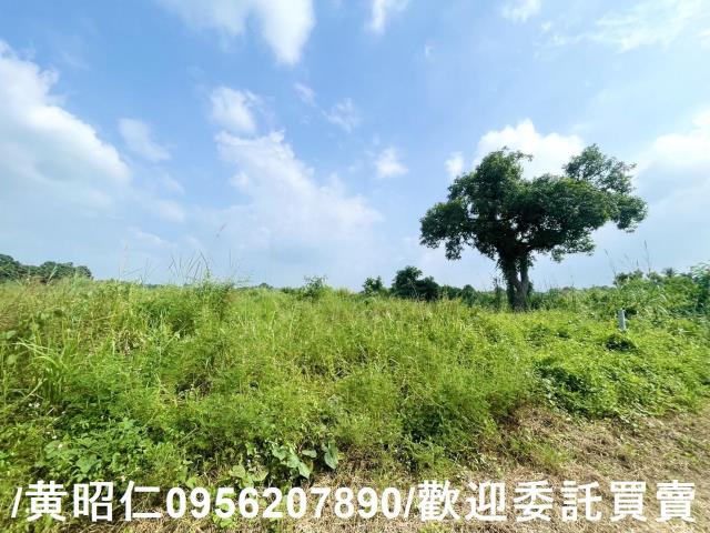 台南歸仁農地-2