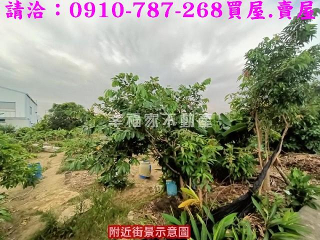 台南農地-7