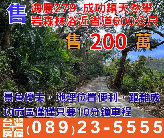 台東成功農地-1