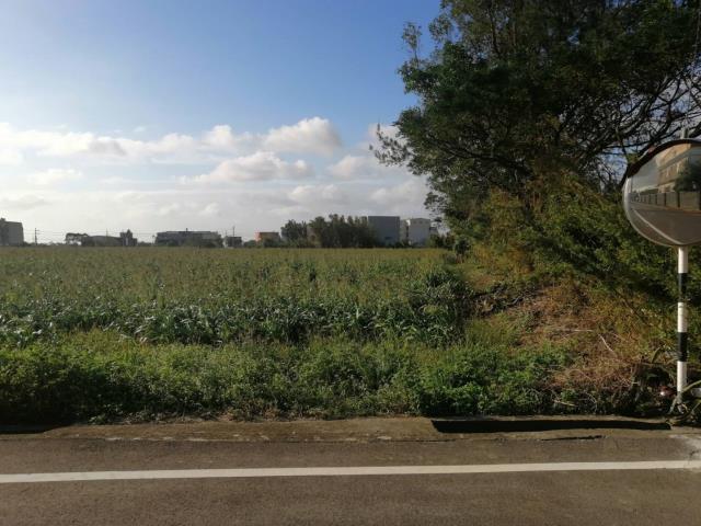 桃園觀音農地-7