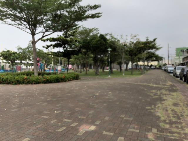 安南建地-4