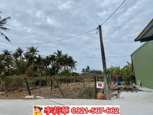 台南農地-6