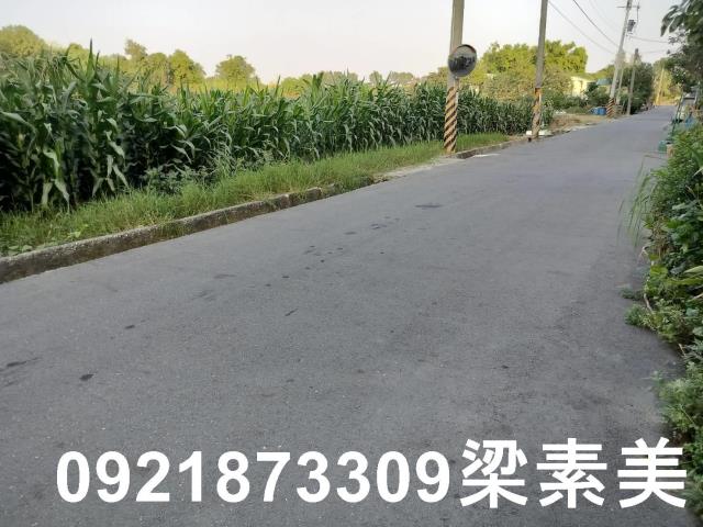 台南安定農地-1