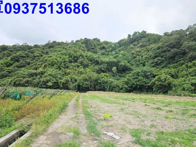員山農地-1